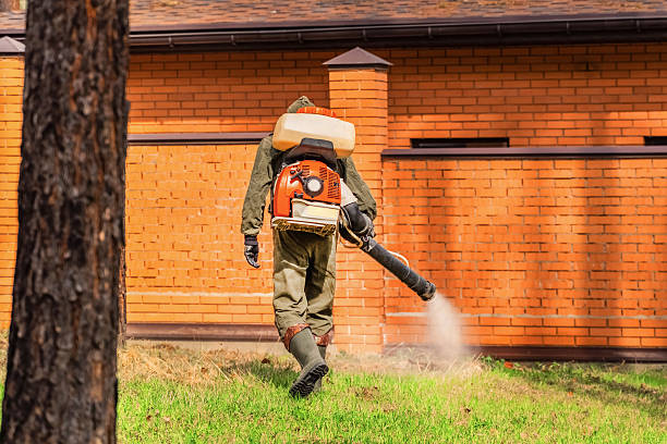 Bed Bug Clearance Verification and Documentation in Vails Gate